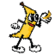 BANANAS31
